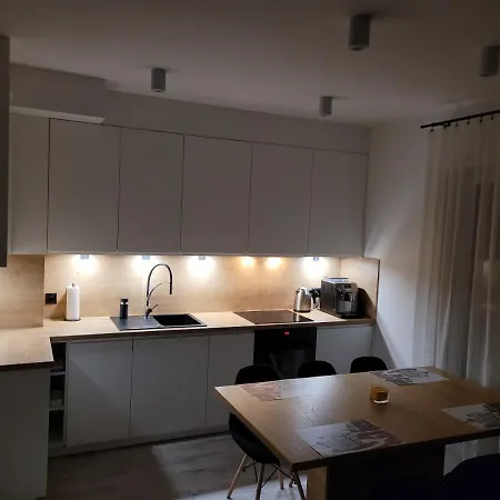 Leszka Loft Apartment Wodzisław Śląski Exterior foto