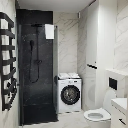Leszka Loft Apartment Wodzisław Śląski Exterior foto